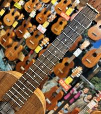 Kamaka HF-3 【2023年製】【テナーサイズ】_7