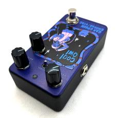 Custom Illustrated CCV coalowl #01 コンパクトエフェクター コーラス_2