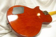 Epiphone Les Paul Special Bass_3