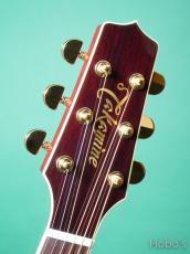 Takamine DMP-551CLH WR "Left Hand Model" w/PU (CT-4 DX)_3