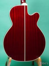 Takamine DMP-551CLH WR "Left Hand Model" w/PU (CT-4 DX)_4