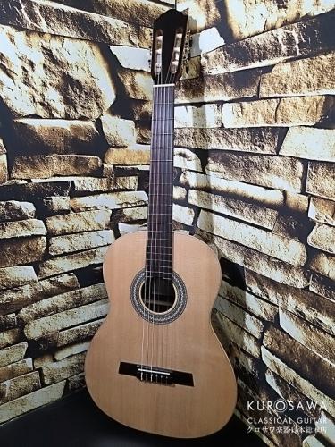 Hofner カール・ヘフナー Classic Series HF17 松単板・ローズ【日本総本店2F 在庫品】