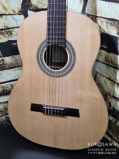 Hofner カール・ヘフナー Classic Series HF17 松単板・ローズ【日本総本店2F 在庫品】_2