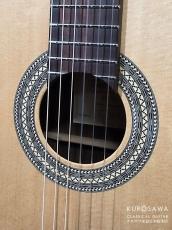 Hofner カール・ヘフナー Classic Series HF17 松単板・ローズ【日本総本店2F 在庫品】_3