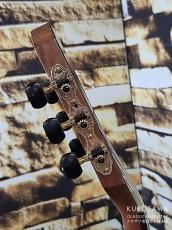 Hofner カール・ヘフナー Classic Series HF17 松単板・ローズ【日本総本店2F 在庫品】_8