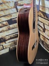 Hofner カール・ヘフナー Classic Series HF17 松単板・ローズ【日本総本店2F 在庫品】_10