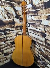 Juan Montes Rodriguez ファン・モンテス・ロドリゲス 2020年製 ANDEVALO Flamenco フラメンコギター 白【日本総本店2F 在庫品】_6