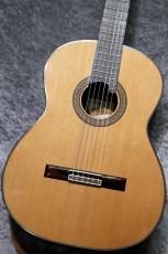 ASTURIAS 【USED】RENAISSANCE 杉【国産ギターをお探しの方必見】【池袋店在庫品】