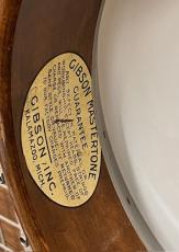 Gibson 1931 TB-3 Conv. #9960-18_4