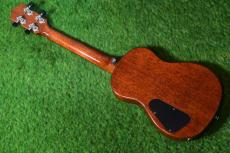 T's ETF-100 Tenor【USED】_4