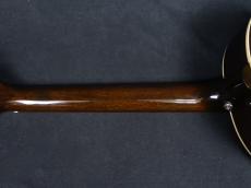 Epiphone Blues King Studio Dark Burst_8