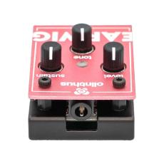 Olinthus EARWIG fuzz_2