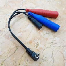 Olinthus EARWIG fuzz_3