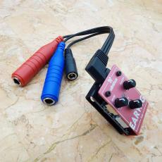 Olinthus EARWIG fuzz_5