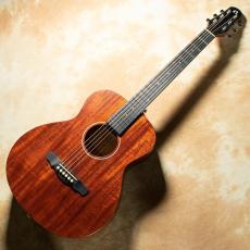 NATASHA L2【数量限定L.R.Baggs Element搭載】