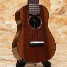 FUJIGEN FUS-TS-02 Soprano 2020's