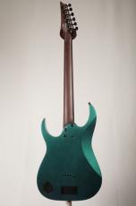 Ibanez 【Fishmanピックアップ搭載】 RG631ALF -Blue Chameleon-_9