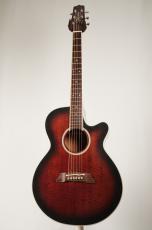 Takamine DSP-110 MOD【USED】_2