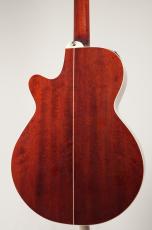 Takamine DSP-110 MOD【USED】_3