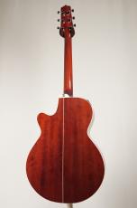 Takamine DSP-110 MOD【USED】_4