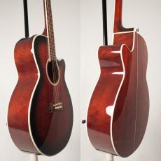 Takamine DSP-110 MOD【USED】_5
