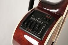 Takamine DSP-110 MOD【USED】_6