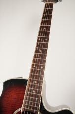 Takamine DSP-110 MOD【USED】_8
