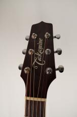 Takamine DSP-110 MOD【USED】_9