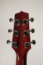 Takamine DSP-110 MOD【USED】_11