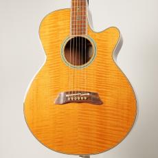 Takamine PT-108【USED】