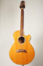 Takamine PT-108【USED】_2