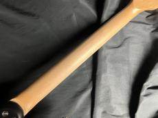 SCHECTER L-OL-DK-24-AL-RH/R_10