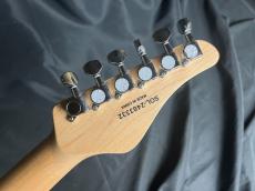 SCHECTER L-OL-DK-24-AL-RH/R_10