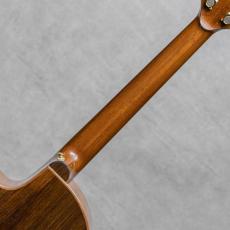 Ryota Mukae Guitars MSS Flush Cutaway Lutz Spruce / 2016_8