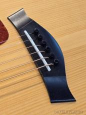 Taylor 【横浜大楽器祭 目玉品】BTO2013 Custom GA(Adirondack/Indian Rosewood) -2013USED!!-_9