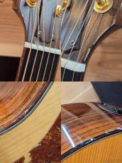 Taylor 【横浜大楽器祭 目玉品】BTO2013 Custom GA(Adirondack/Indian Rosewood) -2013USED!!-_10