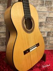 デヴィッド・ホワイトマン　David Whiteman トーレスモデル　2013年製_3