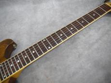 Gretsch BST-5000 "THE BEAST"1978 Fred Gretsch氏サイン入り_6