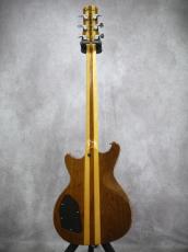 Gretsch BST-5000 "THE BEAST"1978 Fred Gretsch氏サイン入り_10