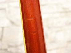 FUJIGEN (FGN) MSA-HP OB-BK 2008_10