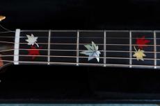 Terry's Terry Premium Terry PTJ-100 MS 45th Anniversary “ Momiji ”/ Abalone Momiji  Inlay・Spruce Top・Indian Rosewood Side and Back・Ebony Finger Board・Tortoise Pick guard 【With Original Case】 2019年製_8
