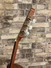 Hofner カール・ヘフナー　Classic Series HF15C　カッタウェイ　新作_6