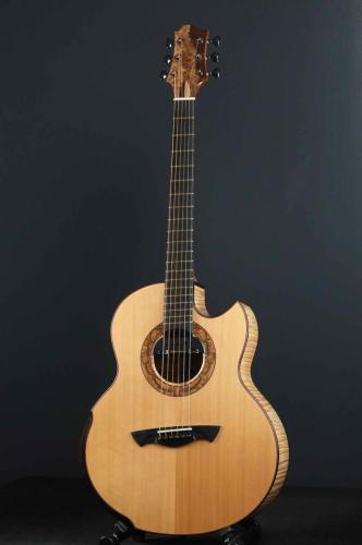 Akira Acoustic A3 cutaway