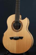 Akira Acoustic A3 cutaway_2