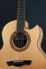 Akira Acoustic A3 cutaway_3