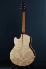 Akira Acoustic A3 cutaway_4