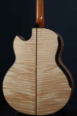 Akira Acoustic A3 cutaway_5