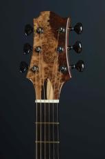 Akira Acoustic A3 cutaway_6