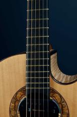 Akira Acoustic A3 cutaway_7