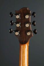 Akira Acoustic A3 cutaway_8